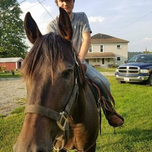 Meet your Posher, Kyle